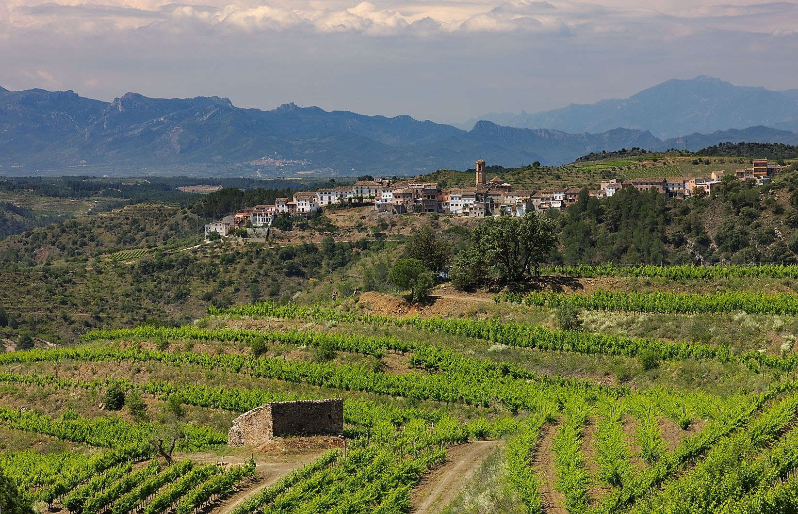 DOQ Priorat